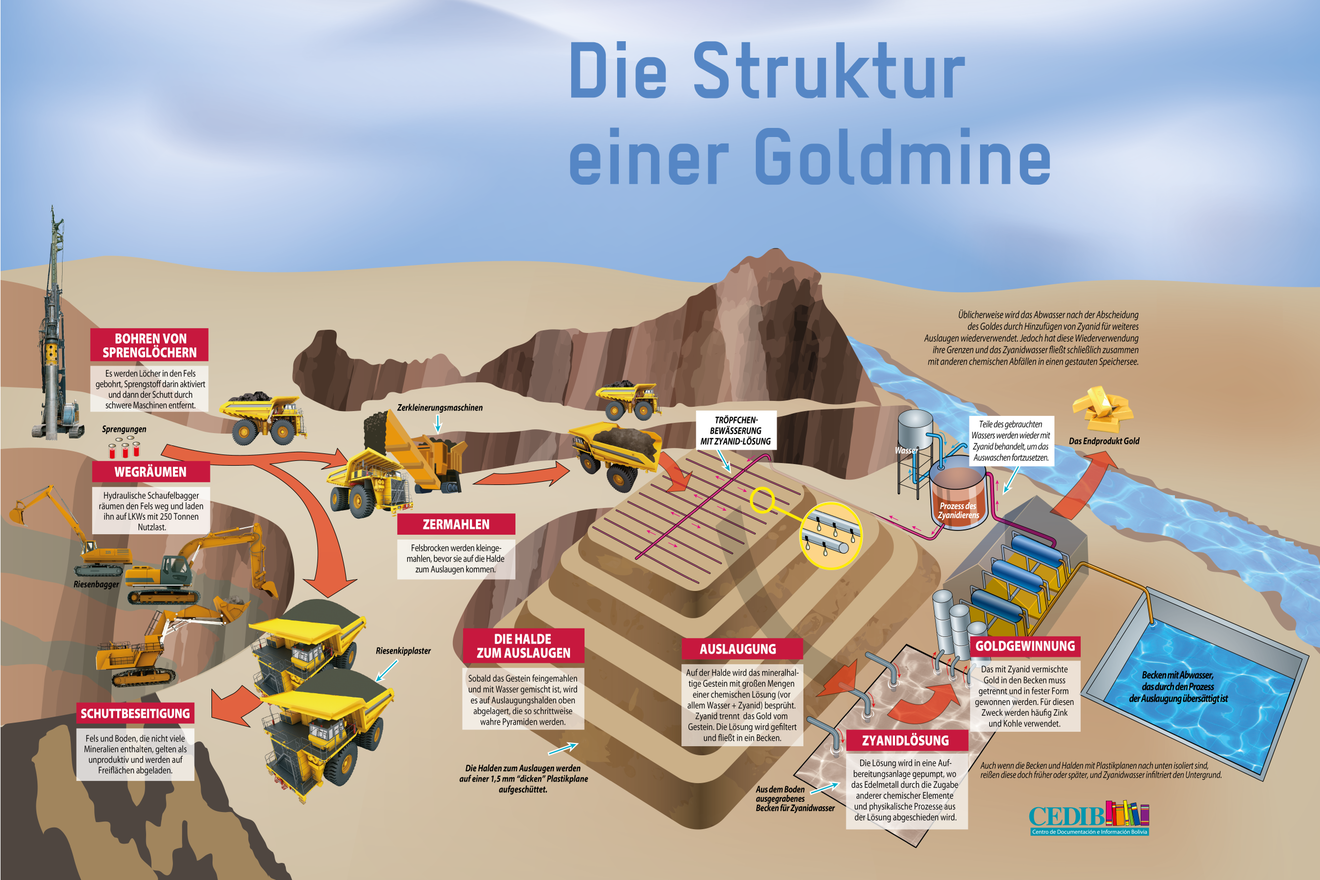 Goldmine_Struktur_CEDIB