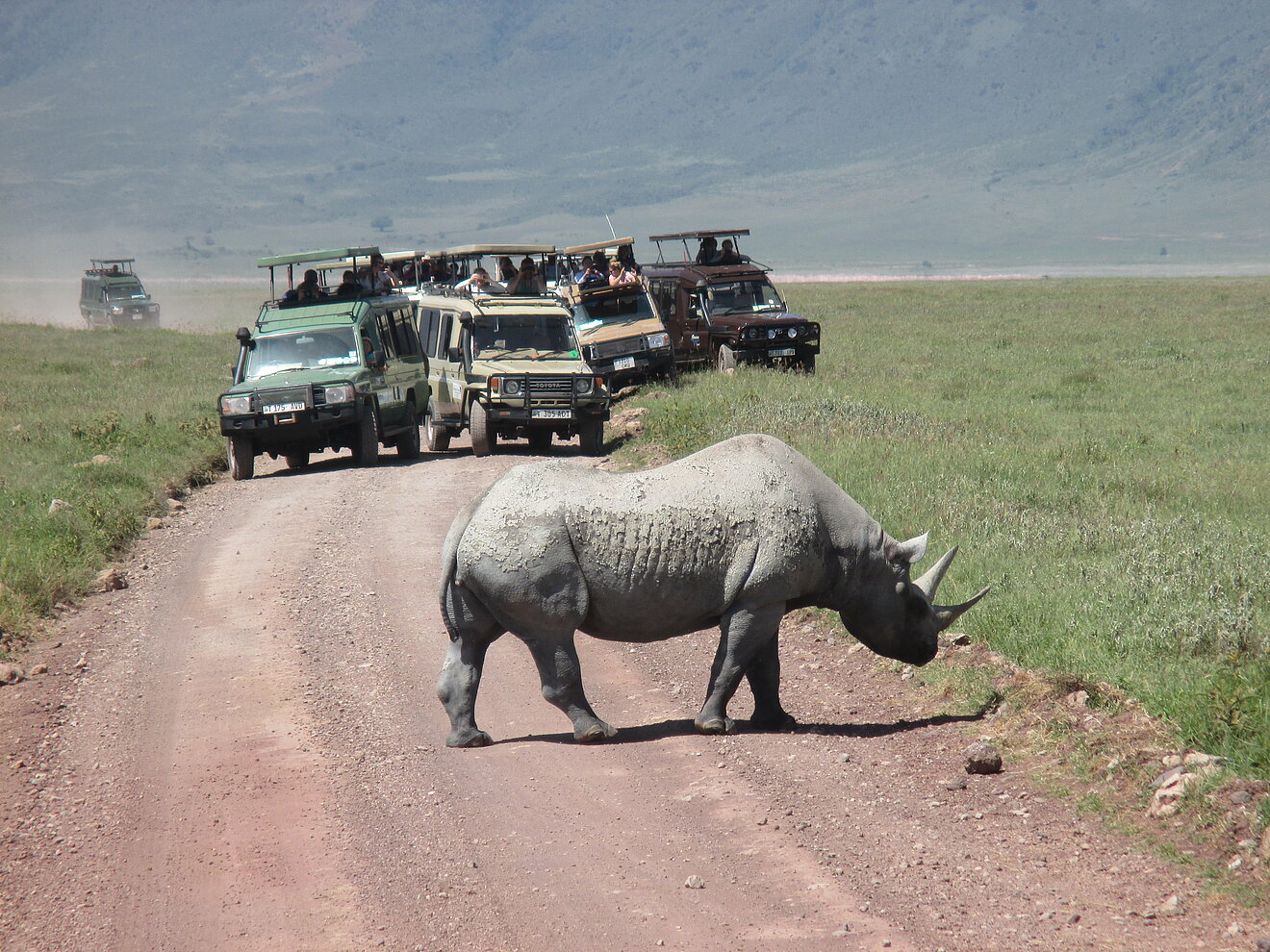 Nationalparks werden für Tourismus und Großwildjagd ausgeweitet, viele vom Volk der Massai verlieren Land und Lebensgrundlage.