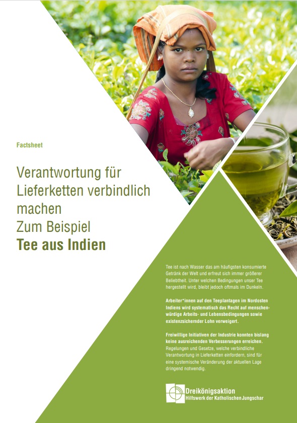 Das Cover einer Fallstudie zeigt eine junge Person in traditioneller Kleidung und eine Tasse grünen Tee. Das Design ist in Grün- und Weißtönen gehalten.